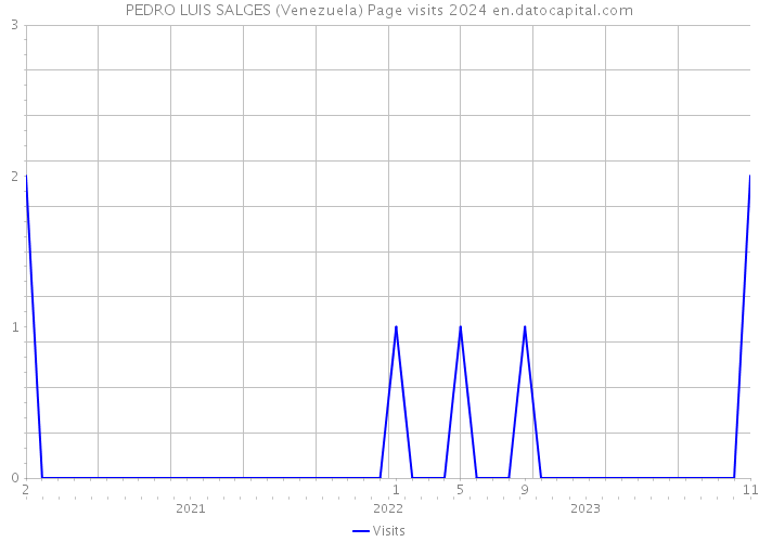 PEDRO LUIS SALGES (Venezuela) Page visits 2024 