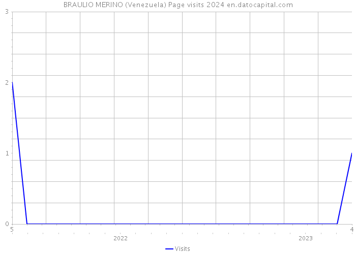 BRAULIO MERINO (Venezuela) Page visits 2024 