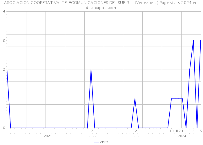 ASOCIACION COOPERATIVA TELECOMUNICACIONES DEL SUR R.L. (Venezuela) Page visits 2024 