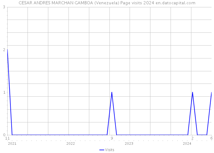 CESAR ANDRES MARCHAN GAMBOA (Venezuela) Page visits 2024 