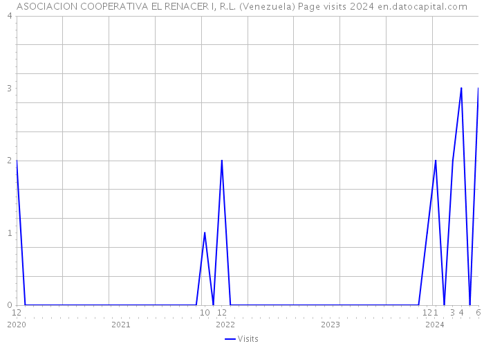 ASOCIACION COOPERATIVA EL RENACER I, R.L. (Venezuela) Page visits 2024 