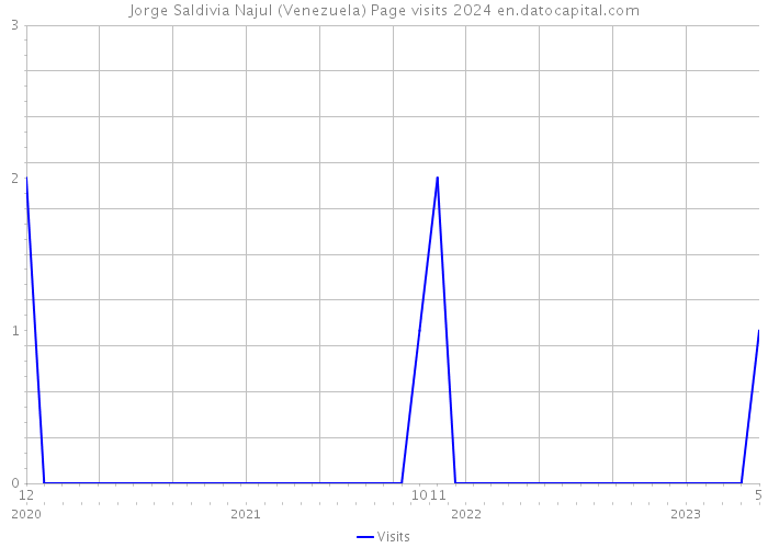 Jorge Saldivia Najul (Venezuela) Page visits 2024 