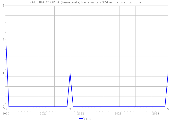 RAUL IRADY ORTA (Venezuela) Page visits 2024 