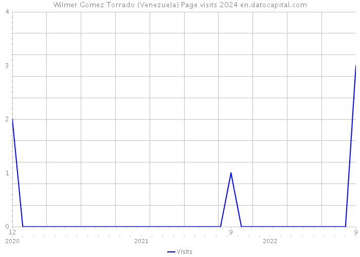 Wilmer Gomez Torrado (Venezuela) Page visits 2024 