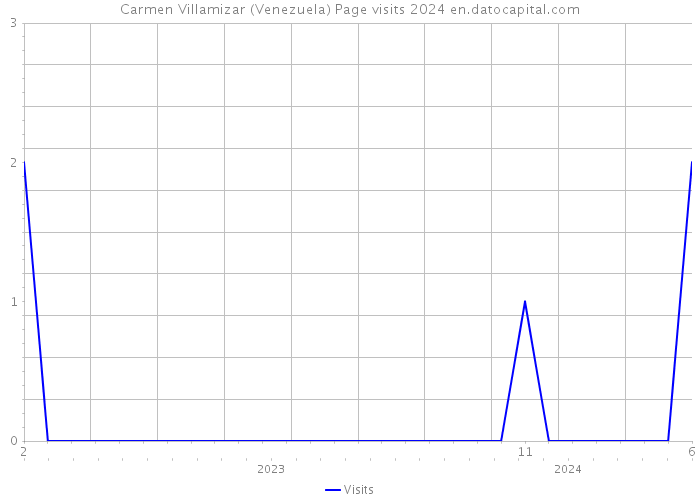 Carmen Villamizar (Venezuela) Page visits 2024 