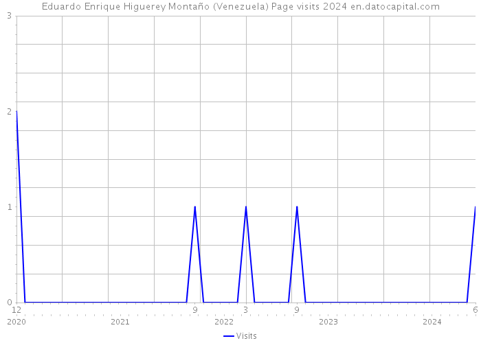 Eduardo Enrique Higuerey Montaño (Venezuela) Page visits 2024 