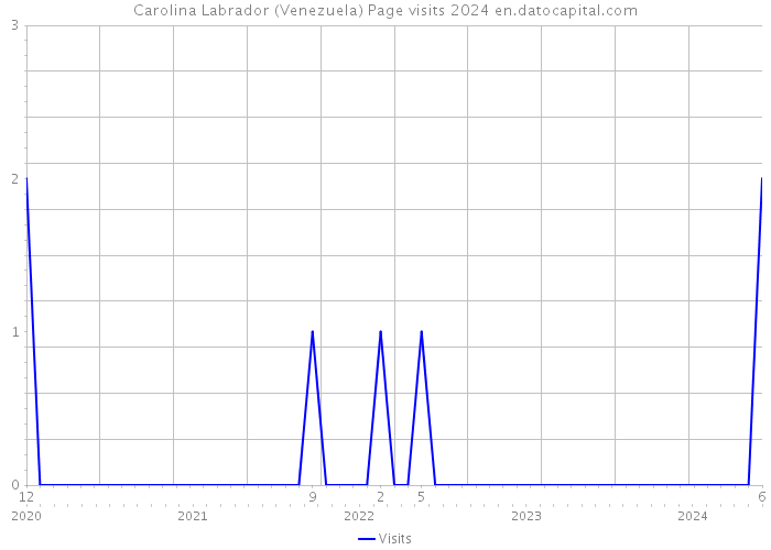 Carolina Labrador (Venezuela) Page visits 2024 