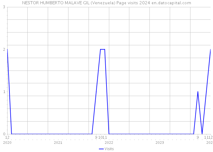 NESTOR HUMBERTO MALAVE GIL (Venezuela) Page visits 2024 