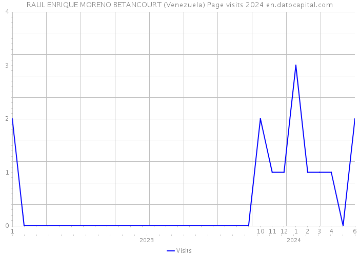 RAUL ENRIQUE MORENO BETANCOURT (Venezuela) Page visits 2024 