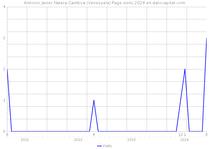 Antonio Javier Natera Gamboa (Venezuela) Page visits 2024 