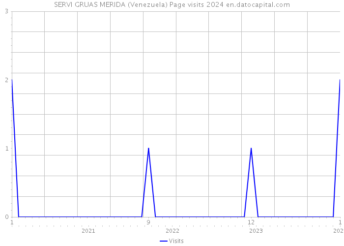 SERVI GRUAS MERIDA (Venezuela) Page visits 2024 