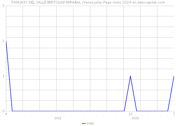 TAHUASY DEL VALLE BERTOLINI MIRABAL (Venezuela) Page visits 2024 