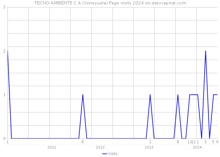 TECNO AMBIENTE C A (Venezuela) Page visits 2024 