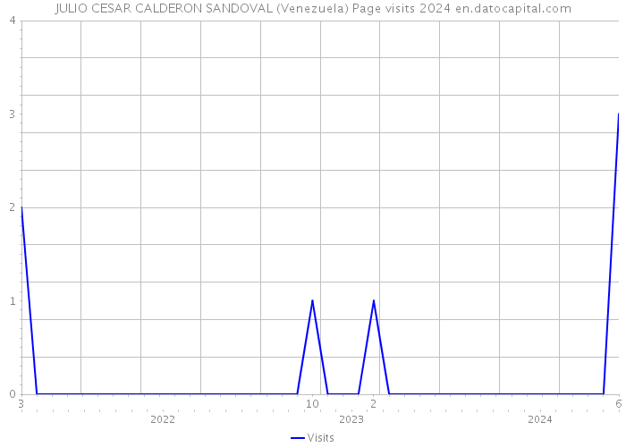 JULIO CESAR CALDERON SANDOVAL (Venezuela) Page visits 2024 