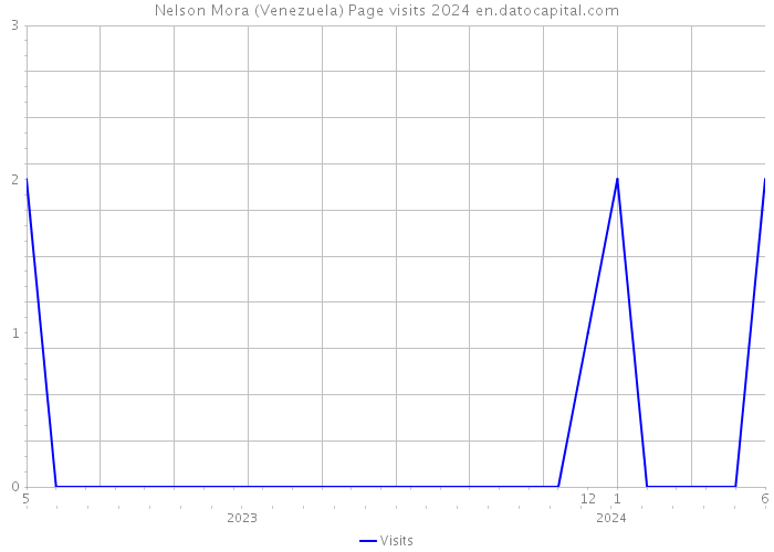 Nelson Mora (Venezuela) Page visits 2024 