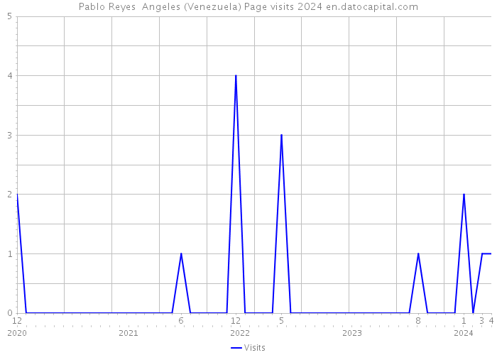 Pablo Reyes Angeles (Venezuela) Page visits 2024 