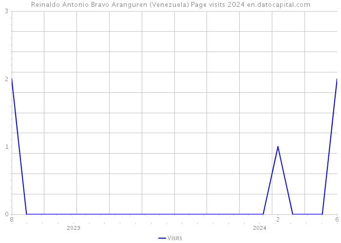 Reinaldo Antonio Bravo Aranguren (Venezuela) Page visits 2024 