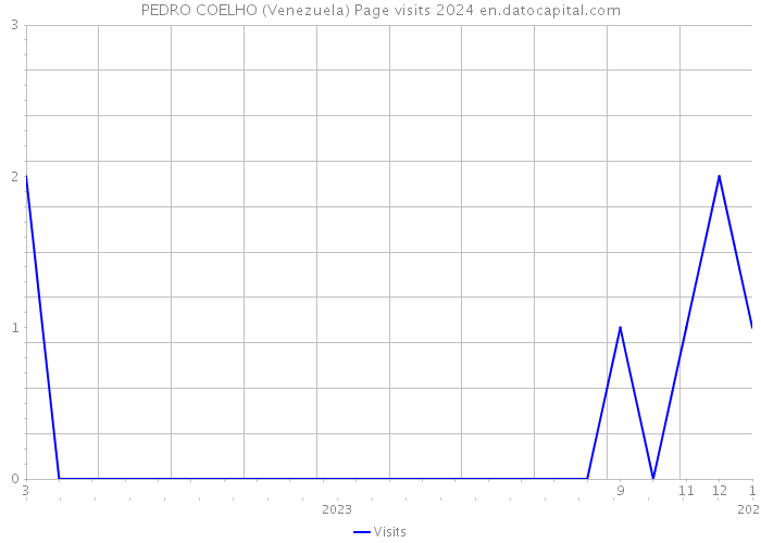 PEDRO COELHO (Venezuela) Page visits 2024 