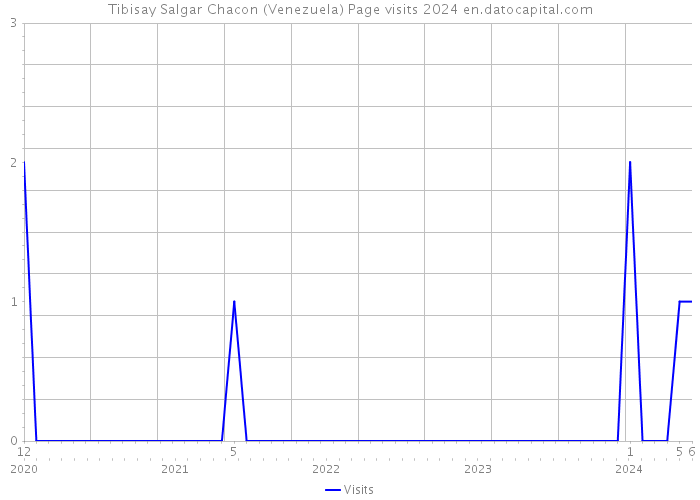 Tibisay Salgar Chacon (Venezuela) Page visits 2024 