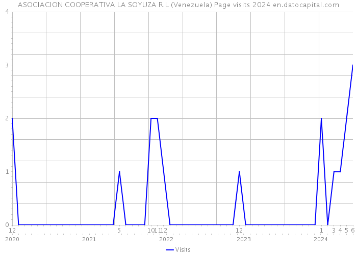 ASOCIACION COOPERATIVA LA SOYUZA R.L (Venezuela) Page visits 2024 