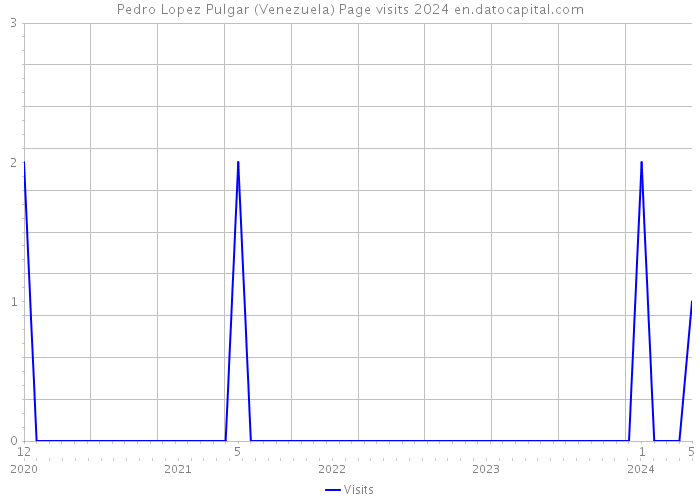 Pedro Lopez Pulgar (Venezuela) Page visits 2024 