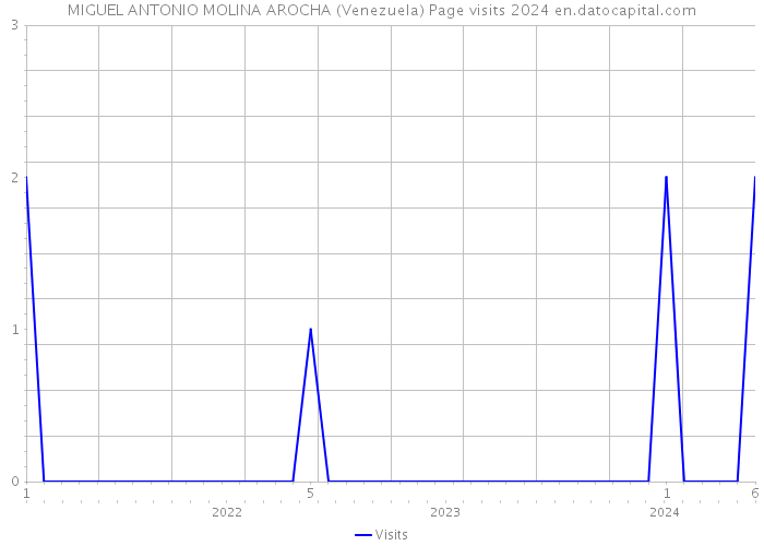 MIGUEL ANTONIO MOLINA AROCHA (Venezuela) Page visits 2024 