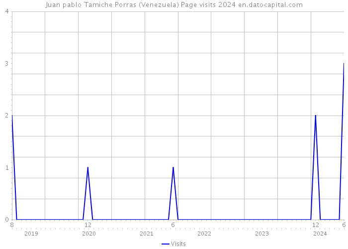 Juan pablo Tamiche Porras (Venezuela) Page visits 2024 