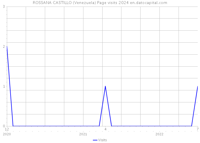 ROSSANA CASTILLO (Venezuela) Page visits 2024 