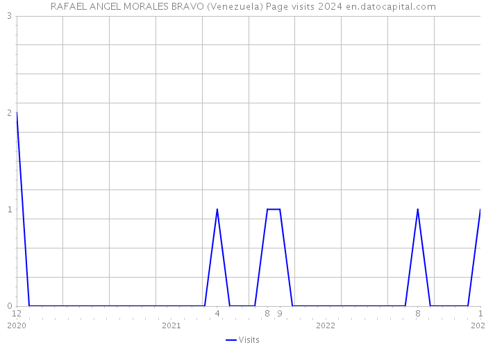 RAFAEL ANGEL MORALES BRAVO (Venezuela) Page visits 2024 