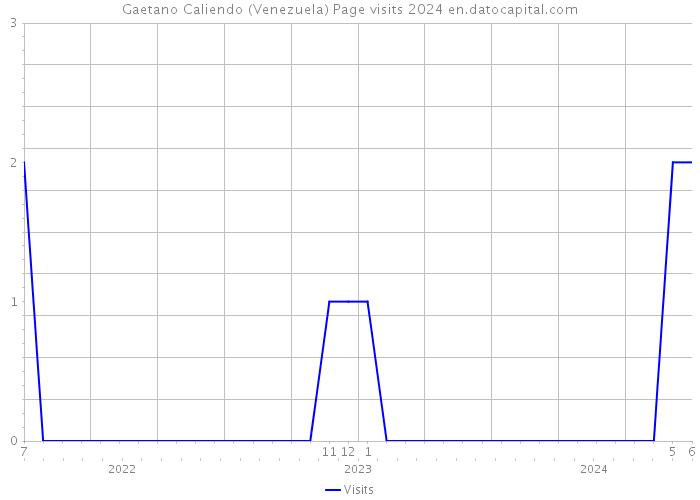Gaetano Caliendo (Venezuela) Page visits 2024 