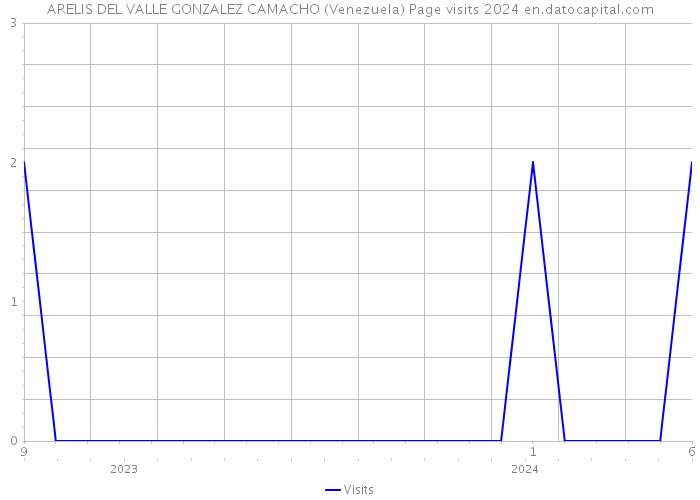 ARELIS DEL VALLE GONZALEZ CAMACHO (Venezuela) Page visits 2024 