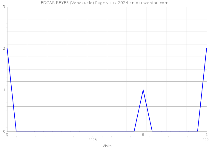 EDGAR REYES (Venezuela) Page visits 2024 