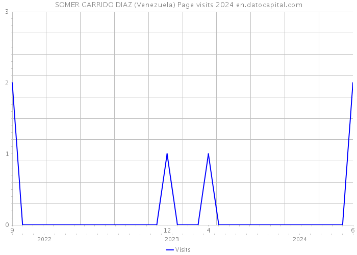 SOMER GARRIDO DIAZ (Venezuela) Page visits 2024 