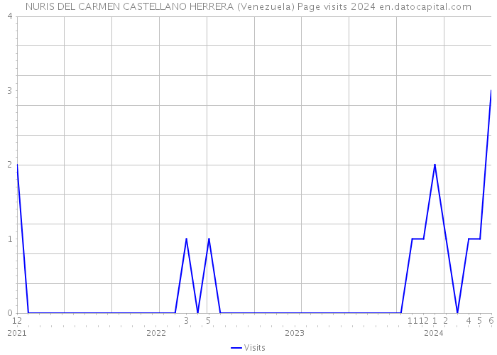 NURIS DEL CARMEN CASTELLANO HERRERA (Venezuela) Page visits 2024 