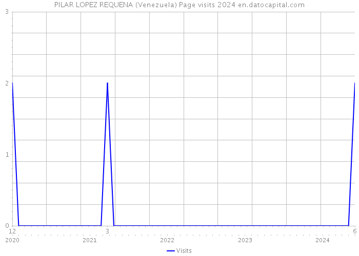 PILAR LOPEZ REQUENA (Venezuela) Page visits 2024 