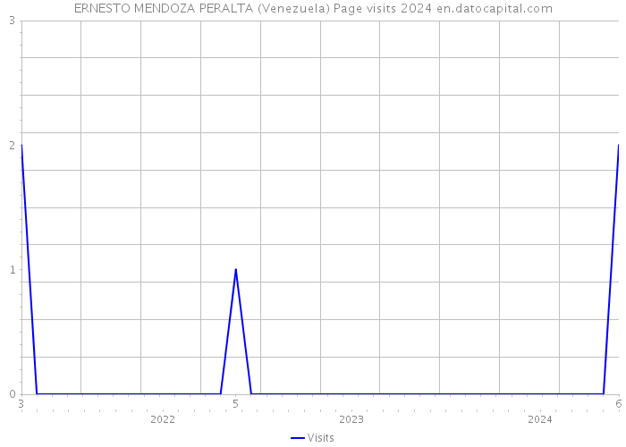 ERNESTO MENDOZA PERALTA (Venezuela) Page visits 2024 