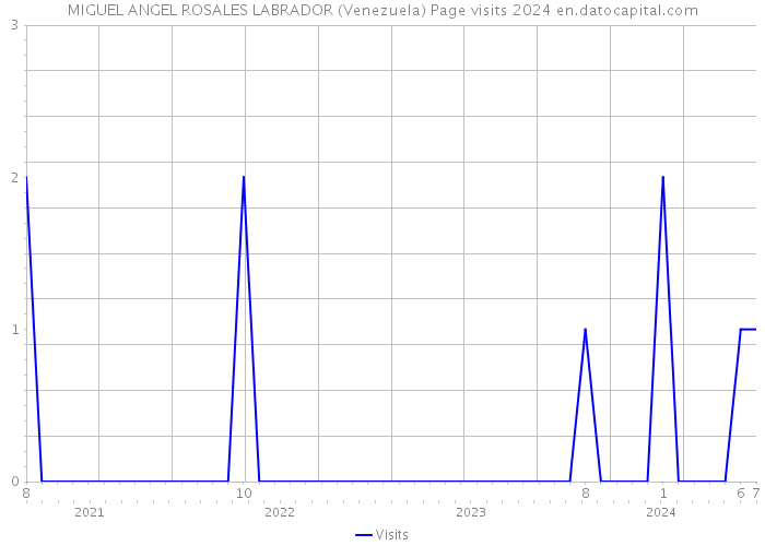 MIGUEL ANGEL ROSALES LABRADOR (Venezuela) Page visits 2024 