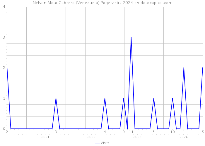 Nelson Mata Cabrera (Venezuela) Page visits 2024 