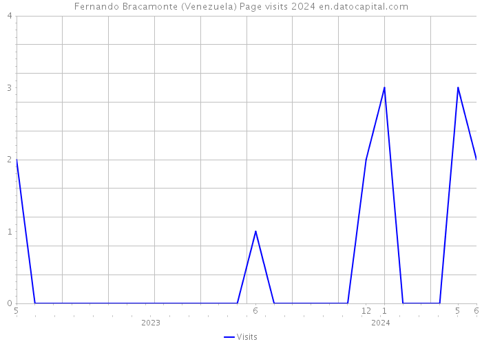 Fernando Bracamonte (Venezuela) Page visits 2024 