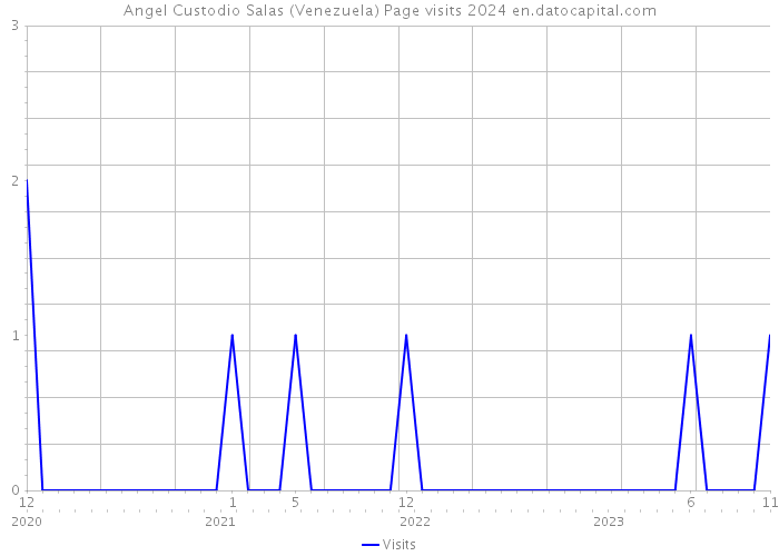 Angel Custodio Salas (Venezuela) Page visits 2024 