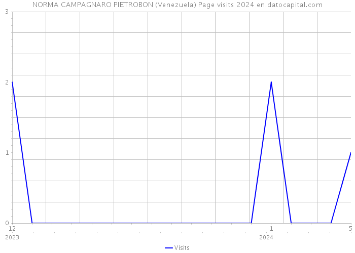 NORMA CAMPAGNARO PIETROBON (Venezuela) Page visits 2024 
