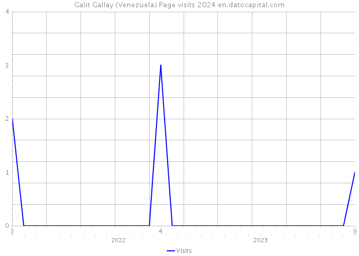 Galit Gallay (Venezuela) Page visits 2024 
