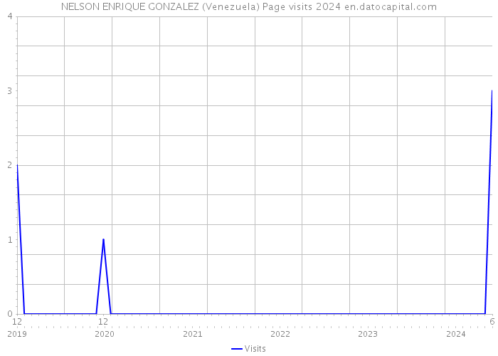 NELSON ENRIQUE GONZALEZ (Venezuela) Page visits 2024 