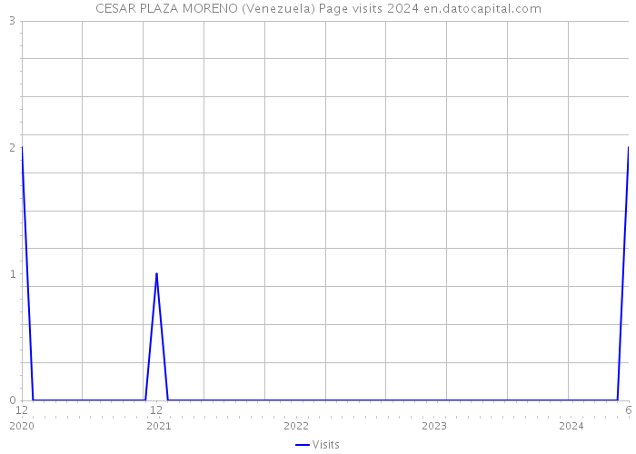 CESAR PLAZA MORENO (Venezuela) Page visits 2024 