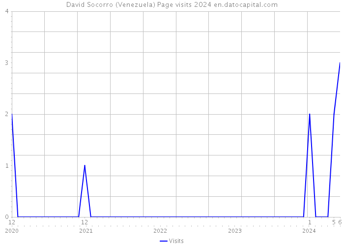 David Socorro (Venezuela) Page visits 2024 
