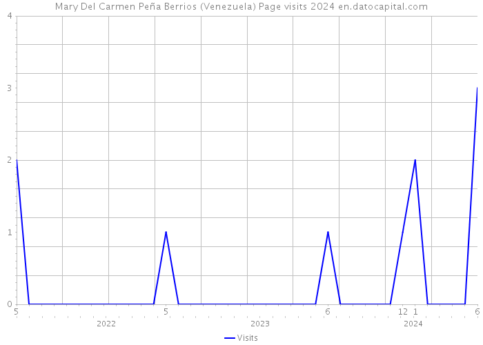 Mary Del Carmen Peña Berrios (Venezuela) Page visits 2024 