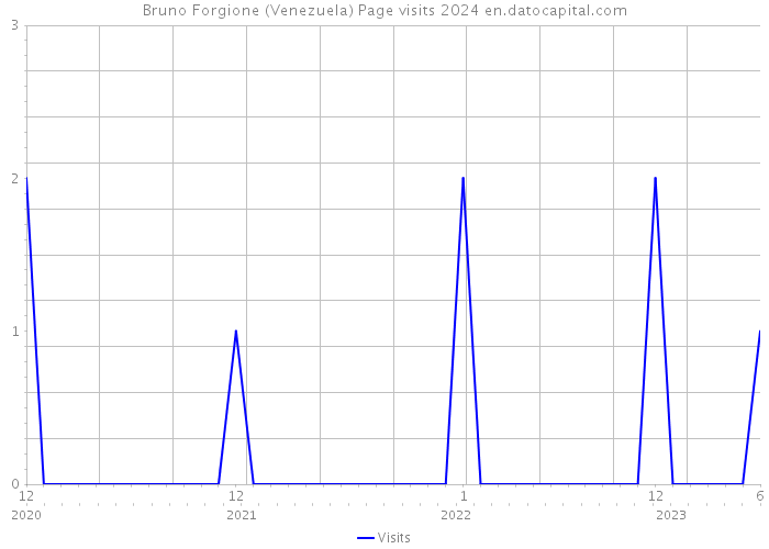 Bruno Forgione (Venezuela) Page visits 2024 
