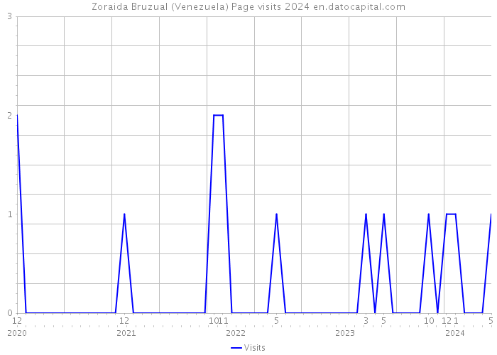 Zoraida Bruzual (Venezuela) Page visits 2024 