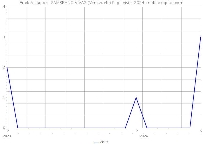 Erick Alejandro ZAMBRANO VIVAS (Venezuela) Page visits 2024 