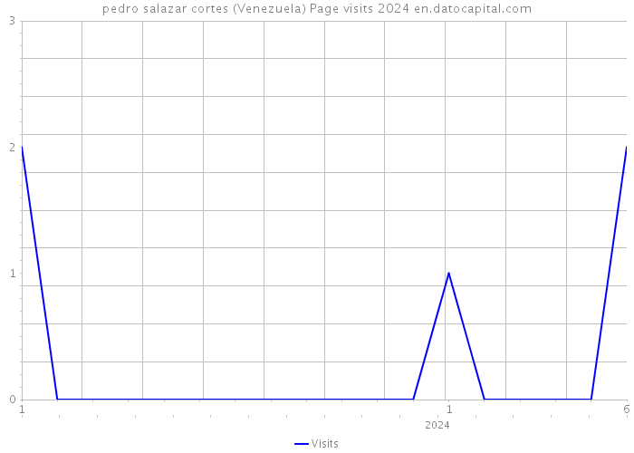 pedro salazar cortes (Venezuela) Page visits 2024 